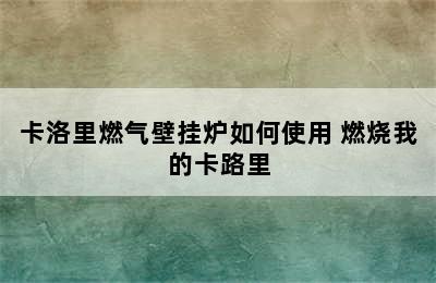 卡洛里燃气壁挂炉如何使用 燃烧我的卡路里